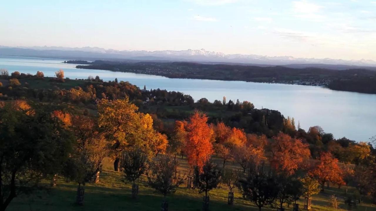 فيلا Kleines Landhaus Bodensee اوبرلنغن المظهر الخارجي الصورة